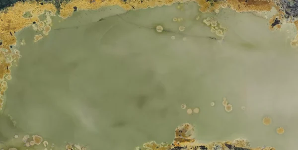 MIRRA - Image 3