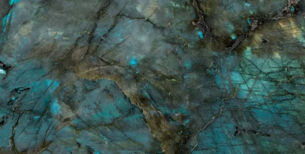 STARDUST - Image 2