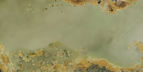 MIRRA - Image 4