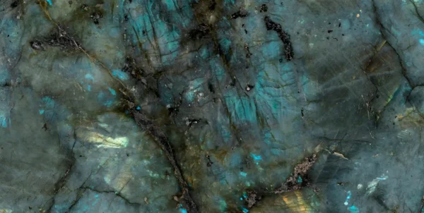 STARDUST - Image 3