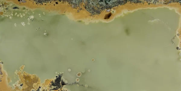 MIRRA - Image 2