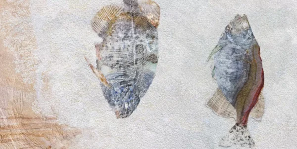 LIFE ON EARTH - Image 5
