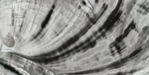 BOREALIS - Image 2