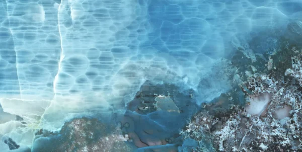 ANTARCTICA - Image 3