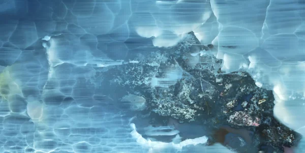 ANTARCTICA - Image 5