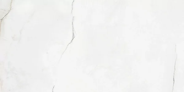 ELEGANT WHITE - Image 10