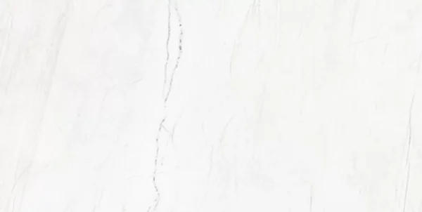 ELEGANT WHITE - Image 11