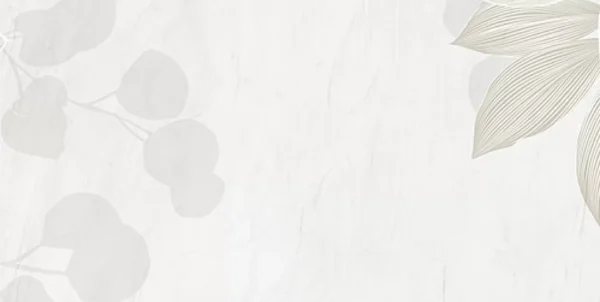 ELEGANT WHITE - Image 5