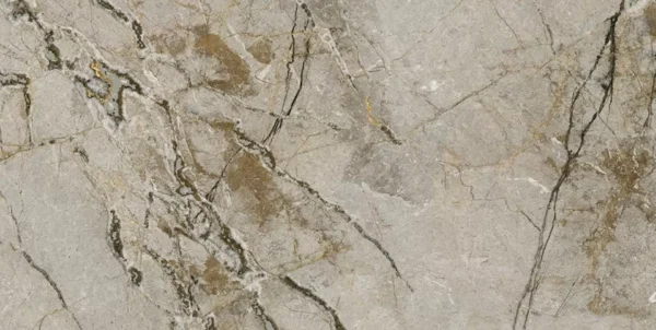 SILVER ROOTS - Image 3