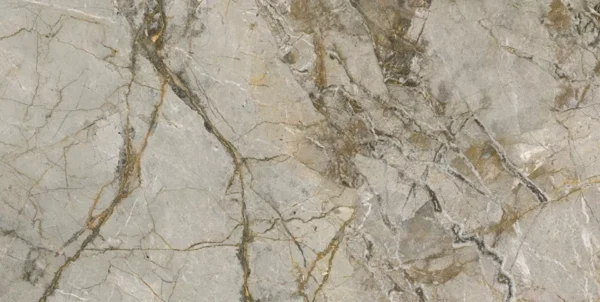 SILVER ROOTS - Image 4