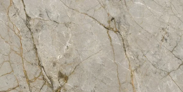 SILVER ROOTS - Image 2