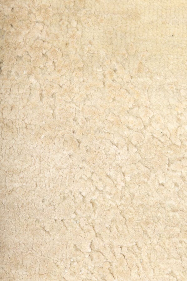 Oasis - Image 5