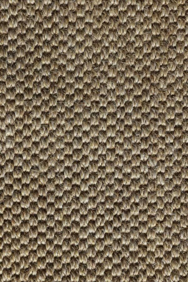 Tiger Eye Braemere - Image 3
