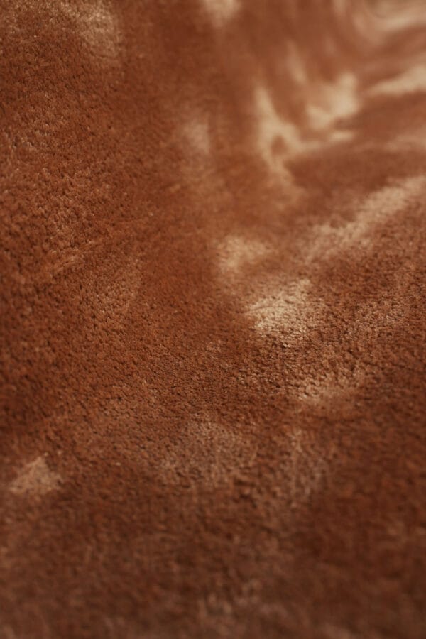 Sepia - Image 4