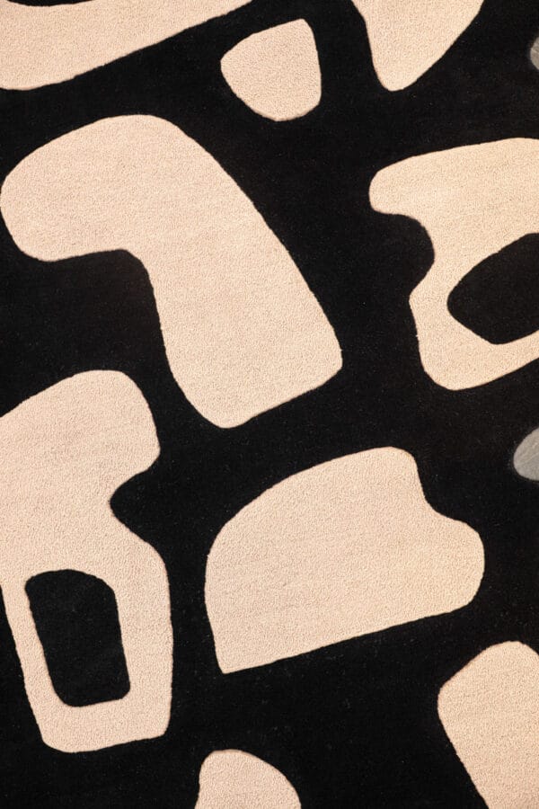 Shadowplay - Image 4