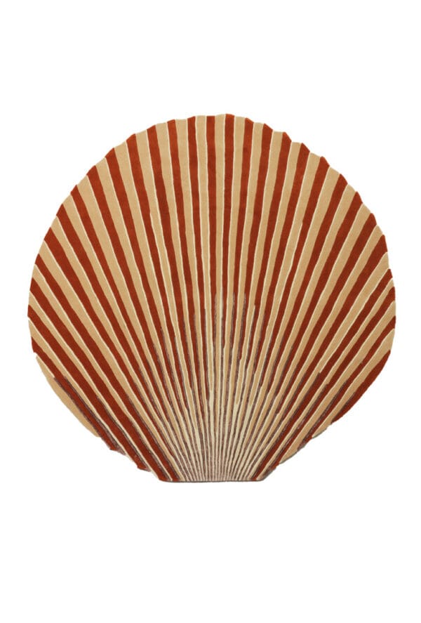 Scallop